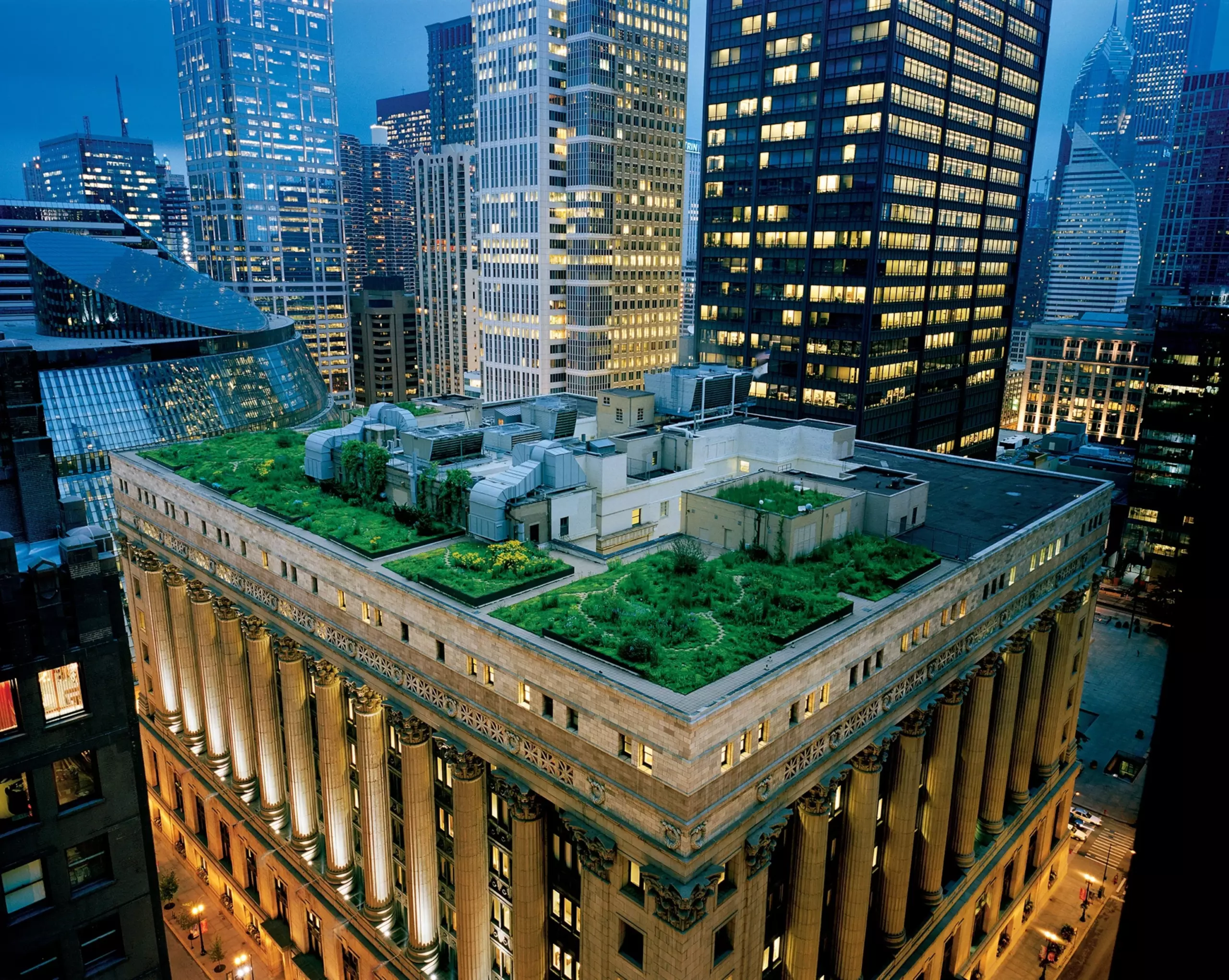 a green roof on Chicago